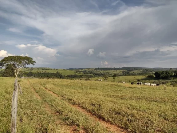 Imagem Sítio a VENDA, Avaí/SP, Área Rural, 10 alqueires