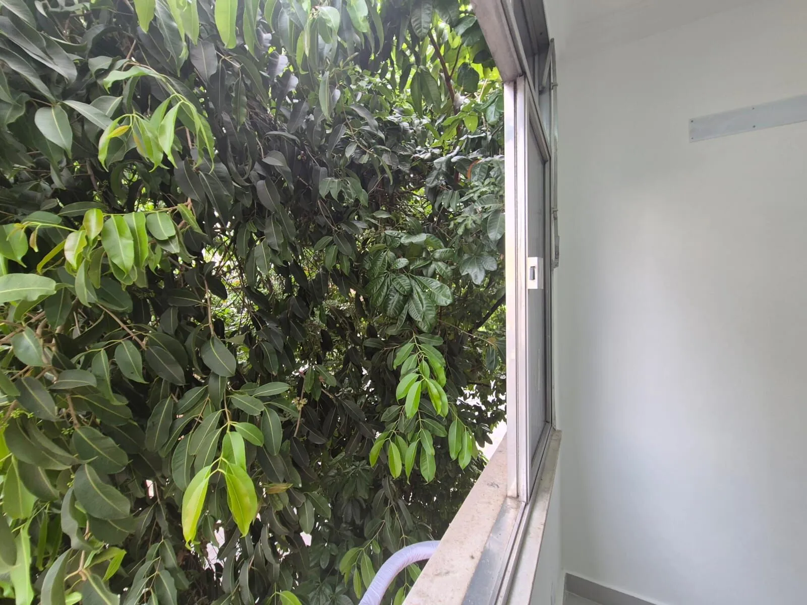 Imagem Apartamento à venda no bairro Botafogo em Rio de Janeiro/RJ