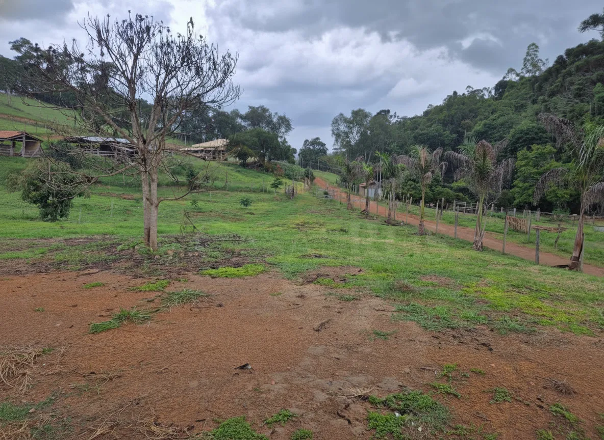 Imagem Chácara 24 m² à venda em Capituvas, Bandeira do Sul