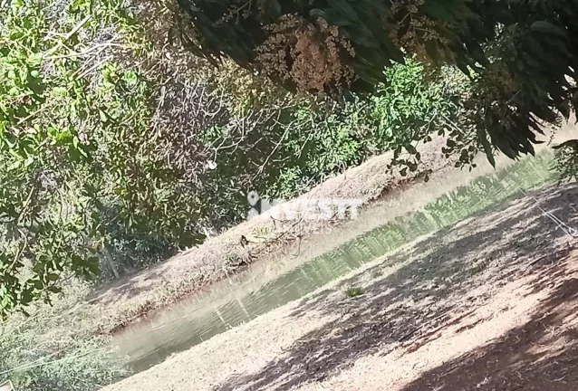 Imagem Chácara à venda na Vargem Grande em Bela Vista de Goiás/GO