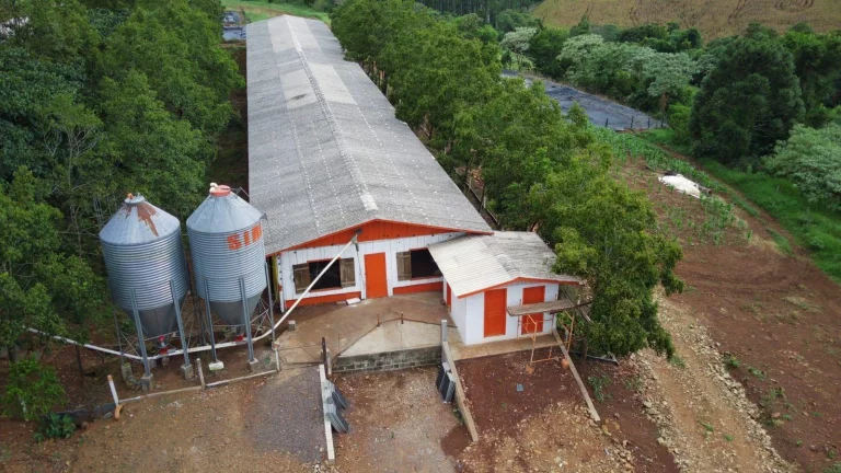 Imagem Área Agrícola para Venda em Três Arroios, Rural