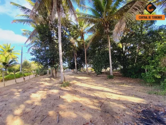 Imagem FAZENDA EM MATA DE SÃO JOÃO
