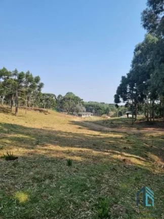 Imagem Sítio/Chácara a venda com 33 hectares bem localizado no interior de São Joaquim - SC