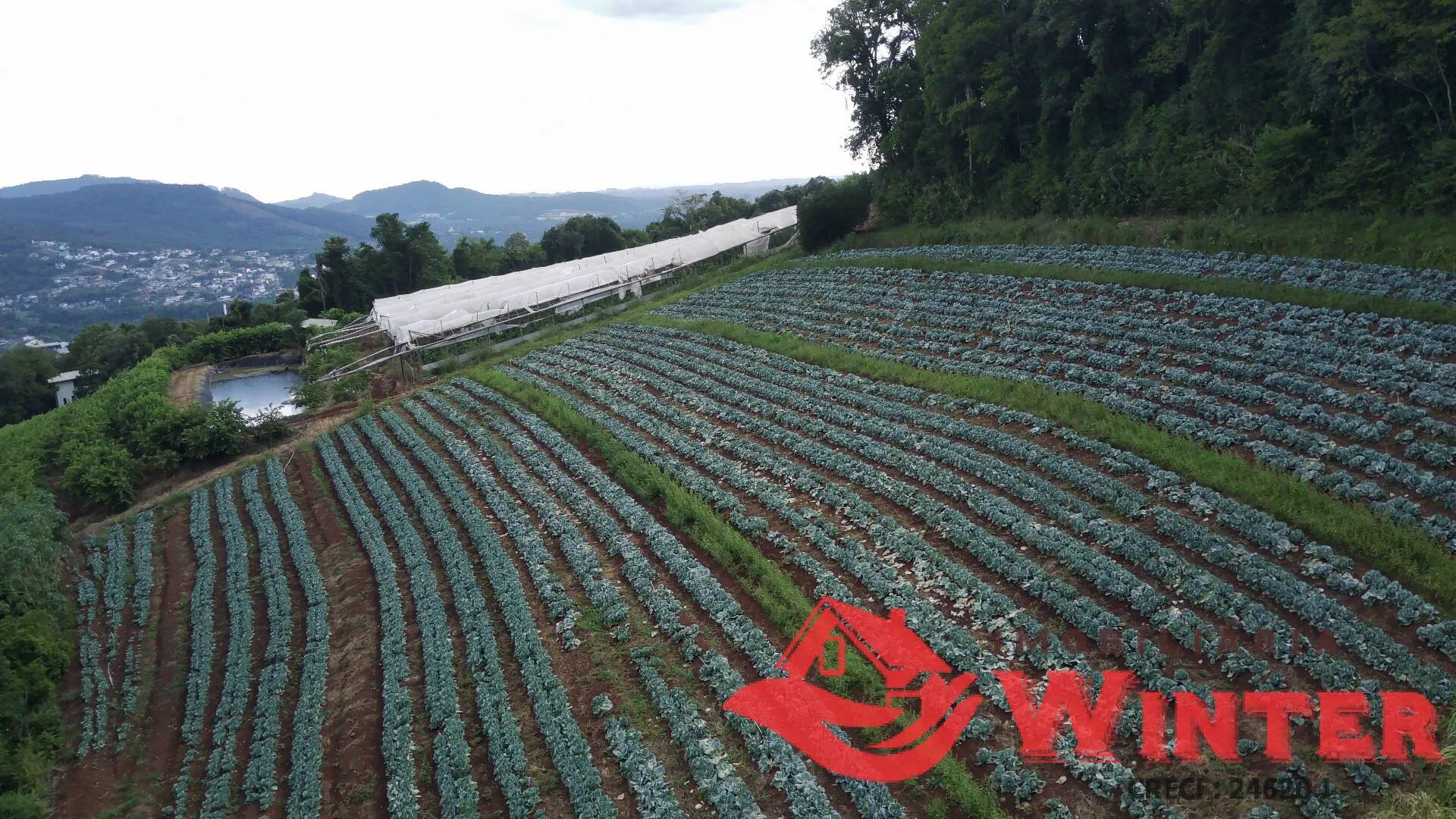 Imagem Área de terras com 16.871m2 no Picão - Feliz