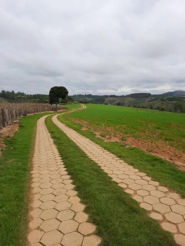 Imagem Vendo uma fazendinha espetacular em Carmópolis de Minas/MG 35 hectares