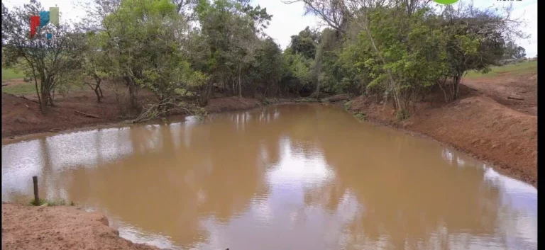 Imagem Fazenda á venda em Avaré SP