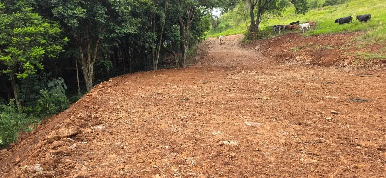 Imagem Chácara à Venda, 20.725 m² em Santa Tereza do Oeste - Santa Tereza do Oeste