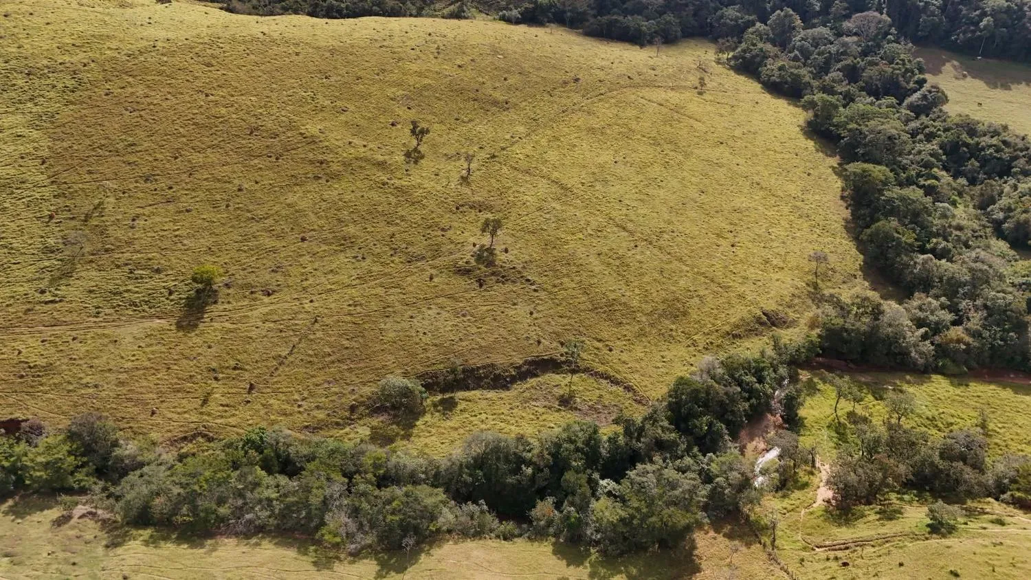 Imagem Fazenda à Venda em Belo Vale/MG ? 42 Hectares | R$ 2.800.000,00
