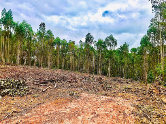 Terreno em Condomínio à Venda,  em Sebandilha - Mairinque