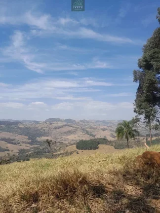 Imagem Terrenos a partir de R$600.000,00 ou R$30 o m2 à Venda no Bairro do Serrote – Socorro/SP