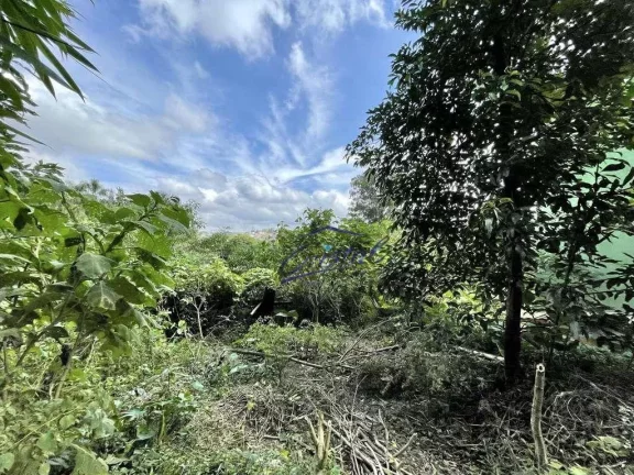 Imagem Terreno à venda, 907 m² - Granja Viana - Cotia/SP