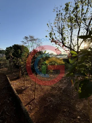 Imagem Área 16 mil m² Jardim Helvécia - Complemento.