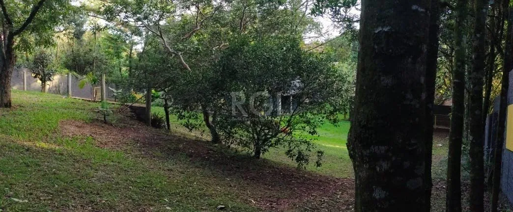 Imagem Terreno a venda no bairro Gloria - Av. Oscar Pereira