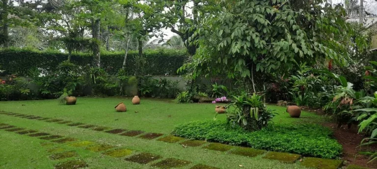 Imagem Oportunidade !!! Casa Praia Tabatinga Caraguatatuba - SP