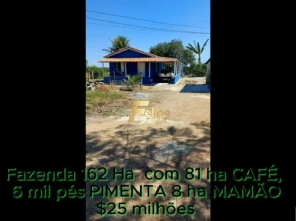 Imagem FAZENDA DE ALTO PADRÃO EM EUNÁPOLIS/BA 162 HECTARES DOCUMENTADOS 81 há de CAFÉ.