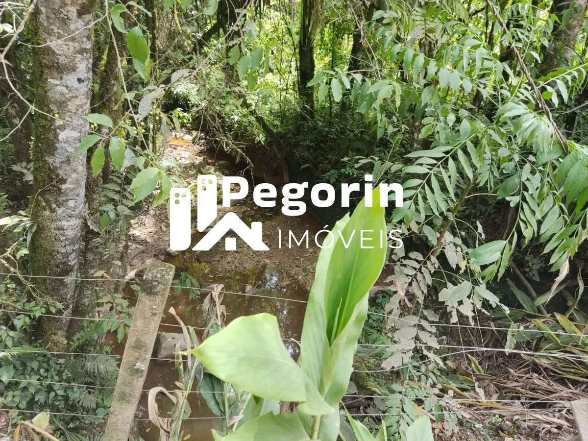 Imagem Chácara para Venda, Campo Magro / PR, bairro Hervalzinho, área total 24.397,00 m²