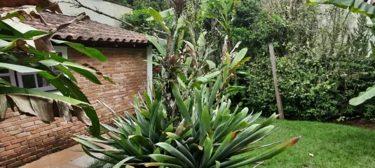 Imagem Oportunidade !!! Casa Praia Tabatinga Caraguatatuba - SP