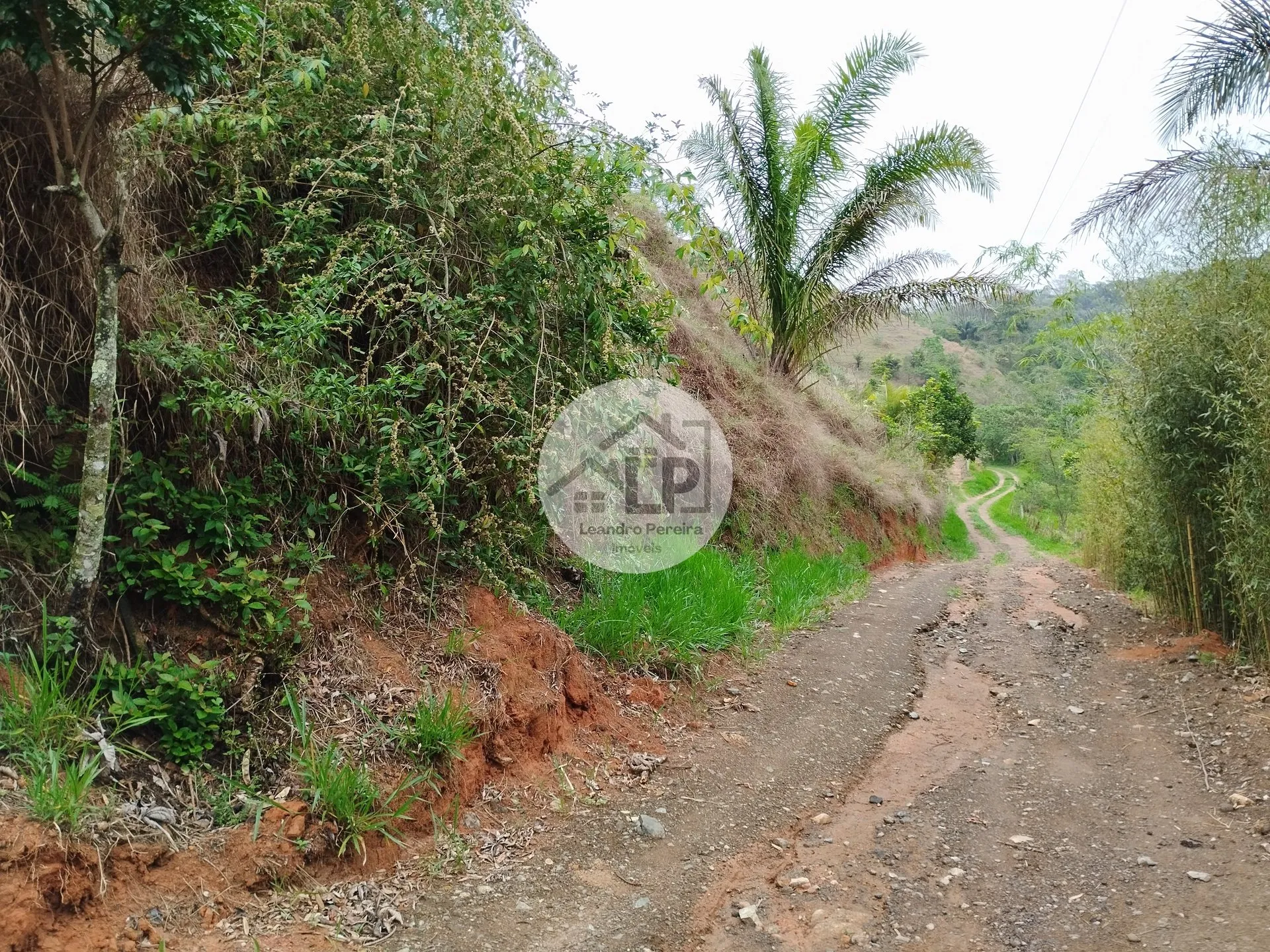 Imagem Lote/Terreno de 1460m² no bairro Caiçara, em Piraí