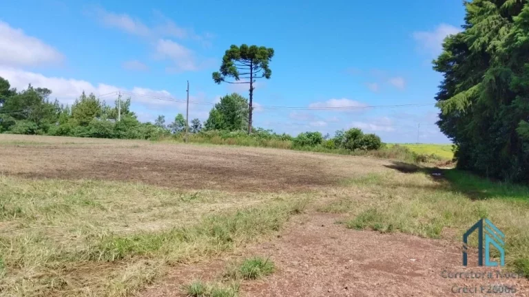 Imagem Sitio a venda 20 alqueires no Município de Pinhão - PR