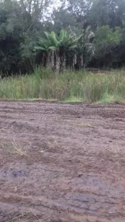 Imagem Terreno excelente a venda para Chácara com 8 mil m² no asfalto - em Quadra