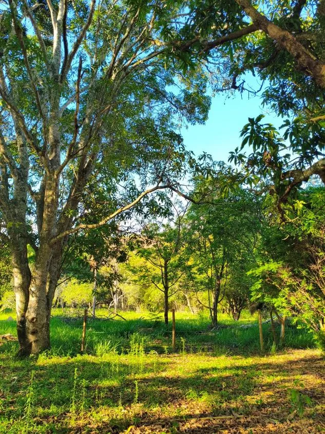 Imagem Vende-se Sítio na MG-050 ( São Sebastião d oeste ) 9,6 hectares de área