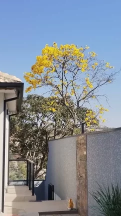 Imagem Chácara 544 m², 3 dormitórios, 1 suíte à Venda R$1.200.000,00