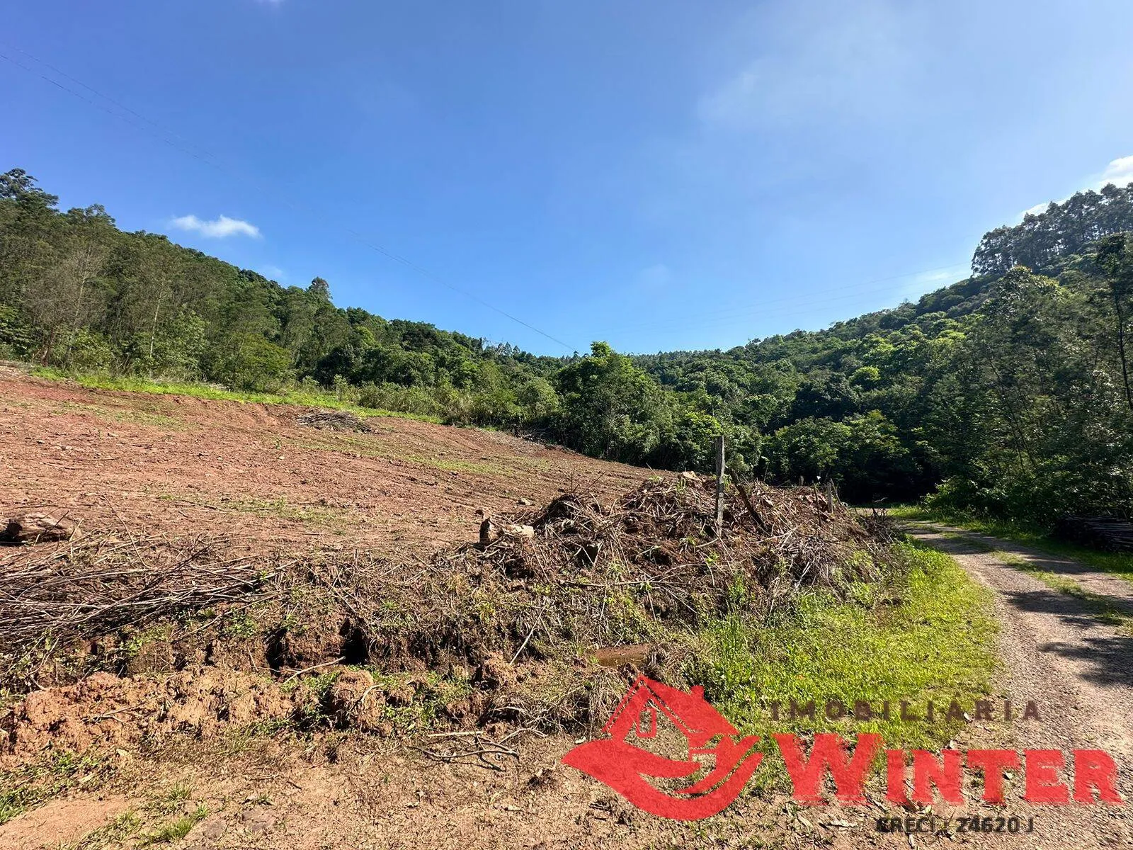 Imagem Área de terras com 10 hectares em Linha Nova