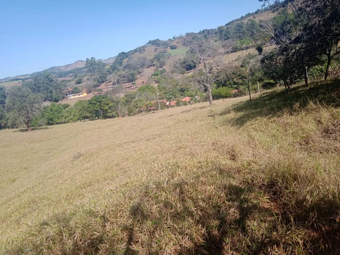 Imagem Venda de Fazenda em Crucilândia 48 hectares de terra