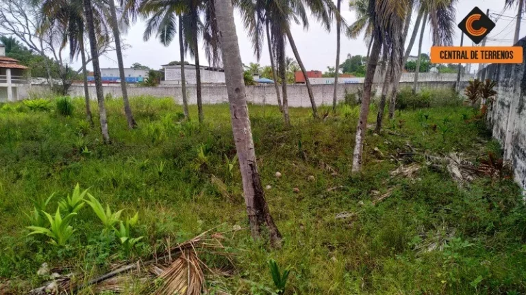 Imagem TERRENO NA CASCALHEIRA