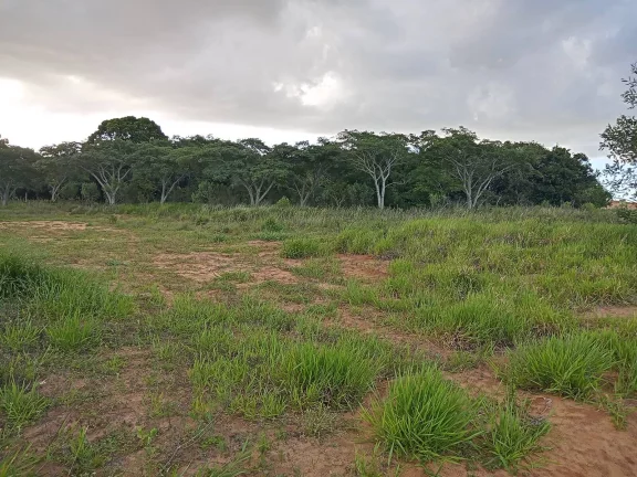 Imagem INVESTIDORES !!! - Excelente área de 2 Hectares, em Águas Claras, Viamão