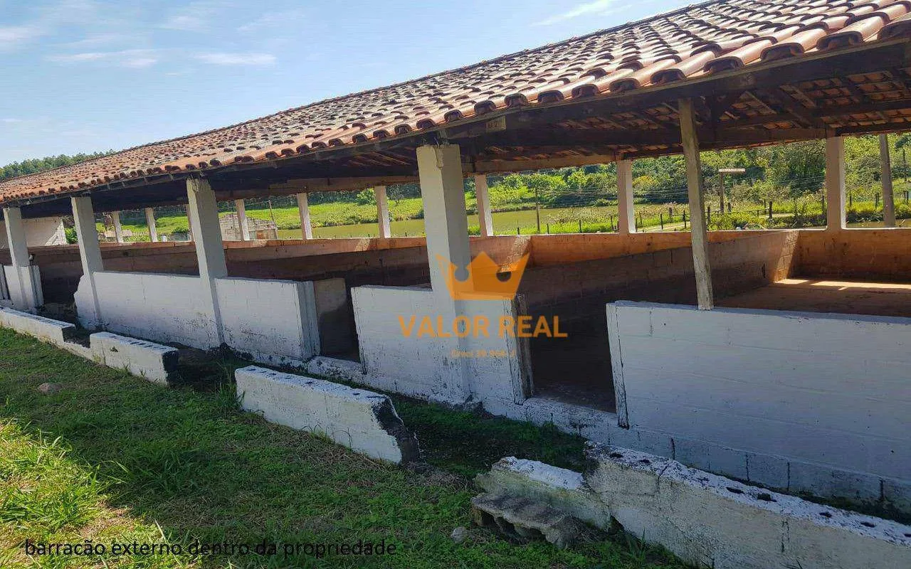Imagem Sítio à Venda em Itu - SP | 16.600 m² | Estrutura Completa. Casas + Barracoes + Nascente