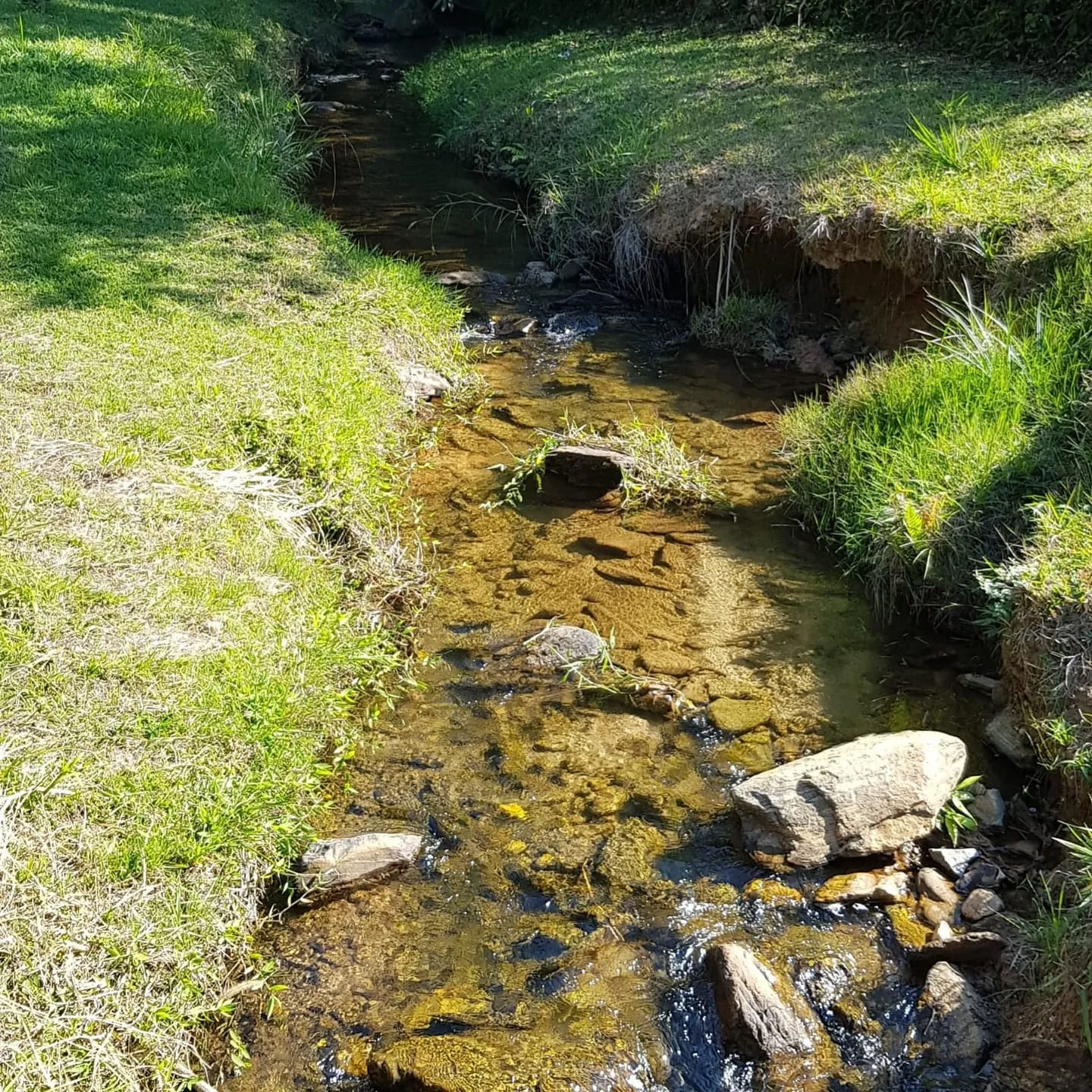 Imagem Chácara à venda 2 Quartos, 1 Suite, 40 Vagas, 24000M², Pinga, Pindamonhangaba - SP