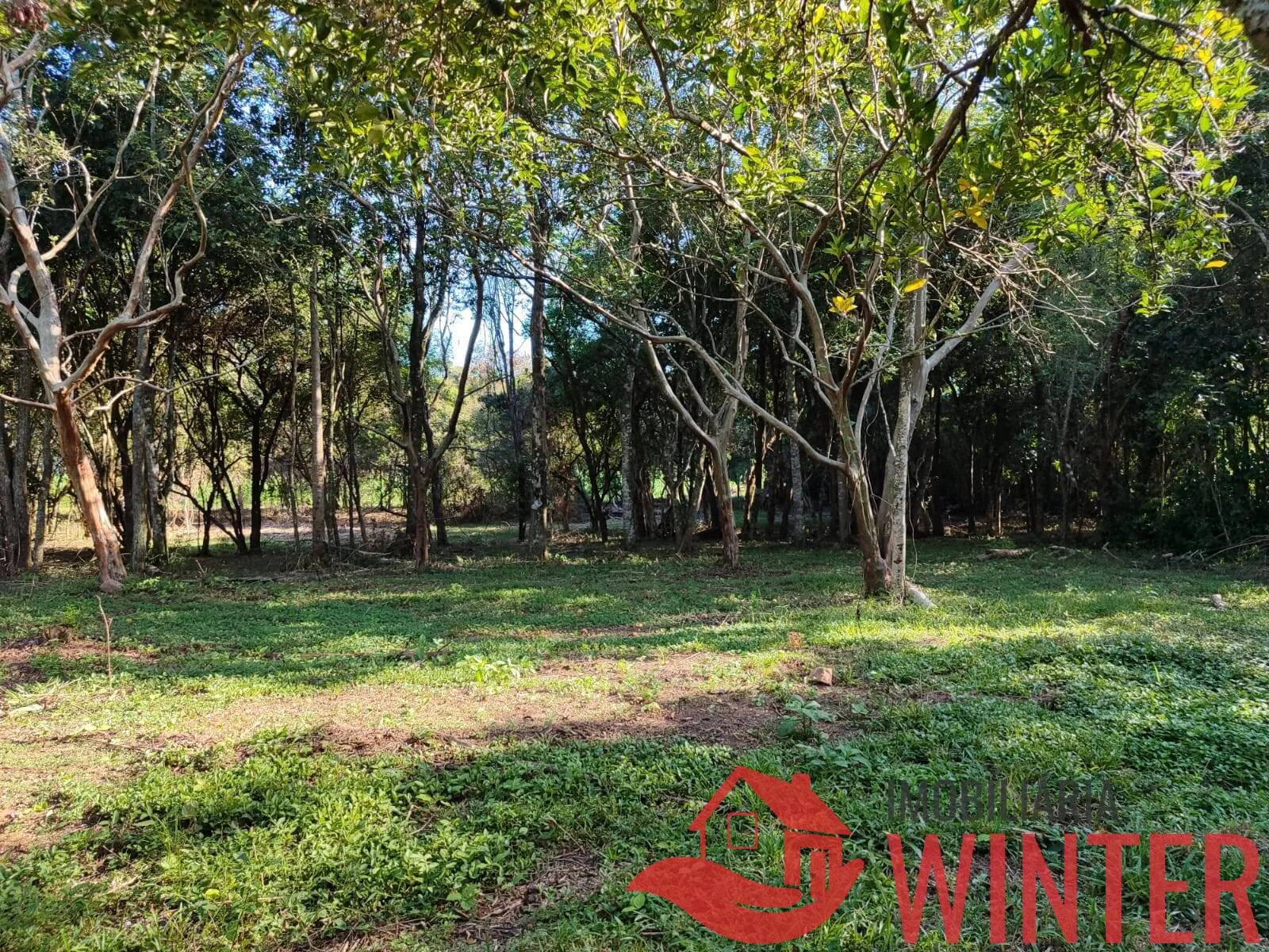 Área de terras plana com 4.800,00m² em Morro São Pedro, Bom Princípio.