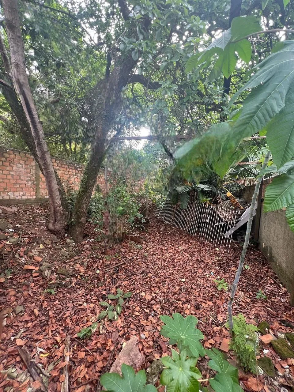 Imagem Terreno em Cristal