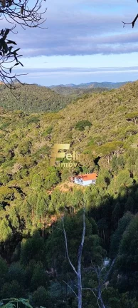 Imagem BELÍSSIMO SÍTIO À VENDA NA REGIÃO DAS MONTANHAS CAPIXABAS, LOCALIZADO EM DOMINGOS MARTINS/ES!