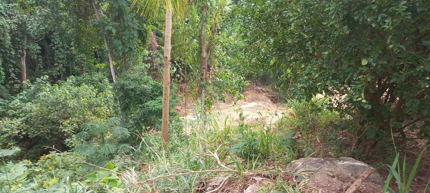 Imagem Terreno para Venda em São Sebastião, São Francisco da Praia