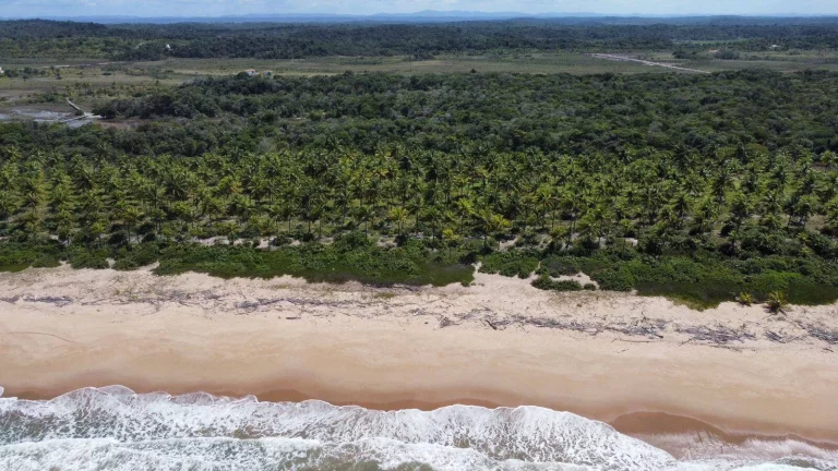 Imagem MÓDULOS RURAIS MATA ATLÂNTICA