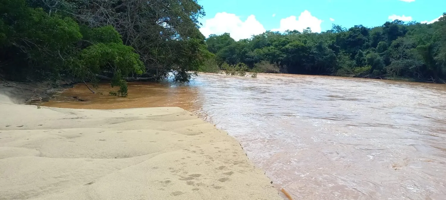 Imagem Vendo uma lindíssima fazenda na cidade de Oliveira/MG com 420 hectares de terra,