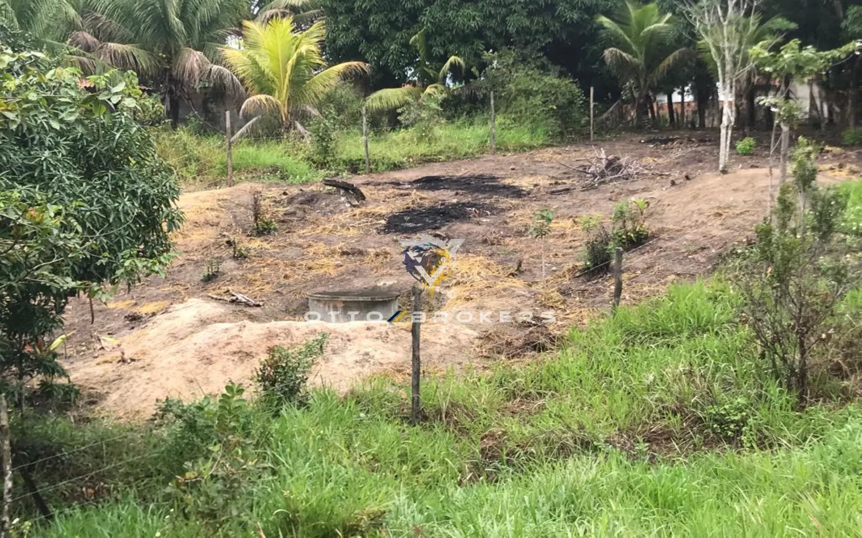Imagem AREA RESIDENCIAL em SANTA CRUZ CABRÁLIA - BA, TÂNIA