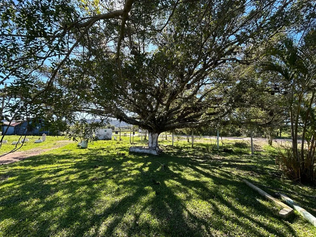 Imagem SÍTIO DE 4.600M² EM ITAPUÃ