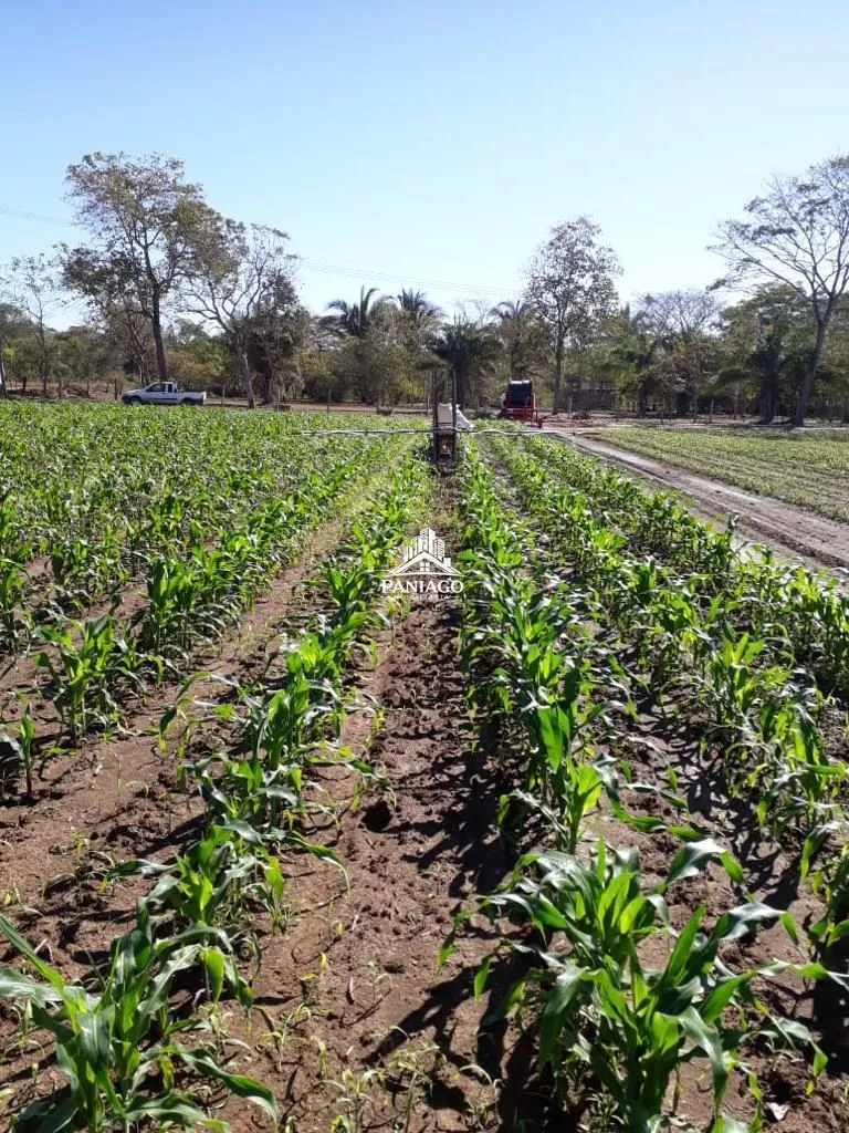 Imagem Sítio de 10,63 Hectares à Venda em Leverger/MT | Estrutura para Pecuária