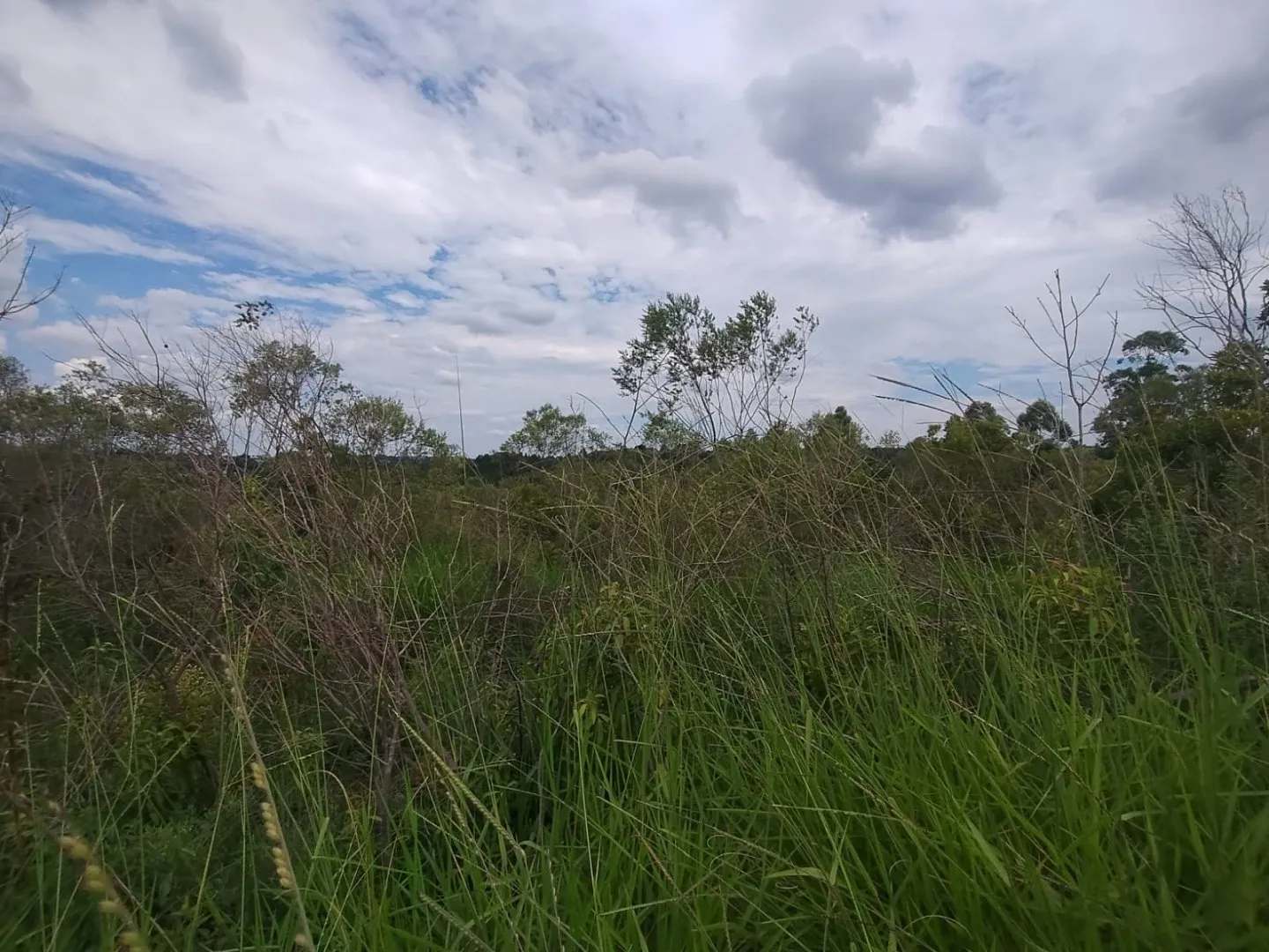 Imagem Oportunidade: Terreno em Viamão, JARDIM VIAMAR - Venda 363m²