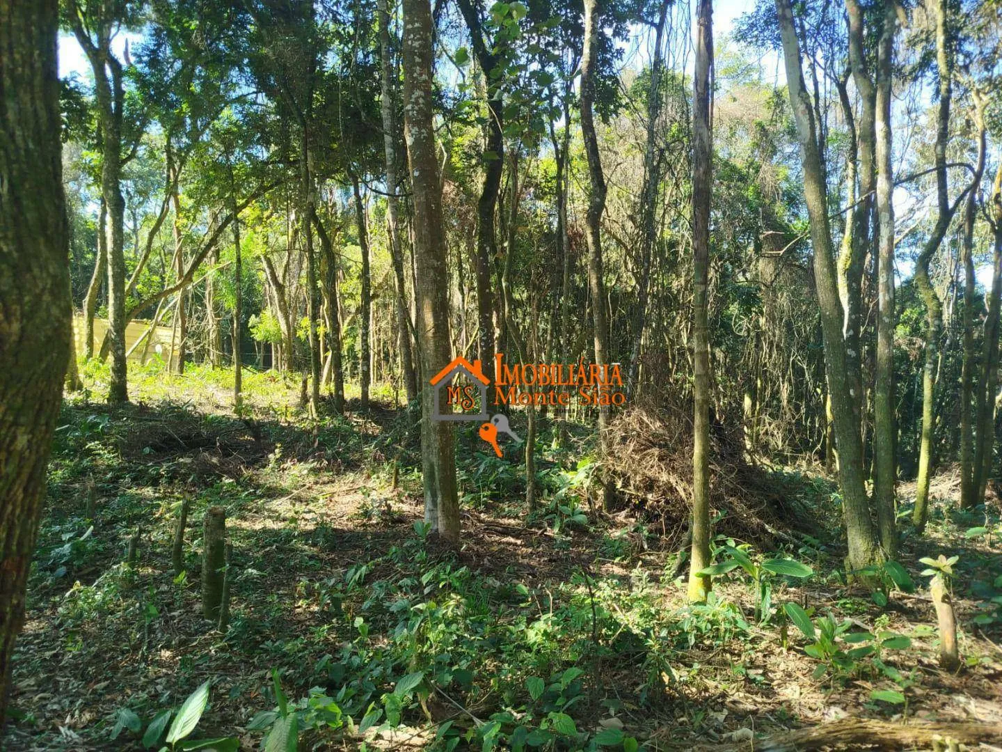 Imagem Terreno à venda, 3.068m² por R$ 212.000 - Parque Santos Dumont - Guarulhos/SP
