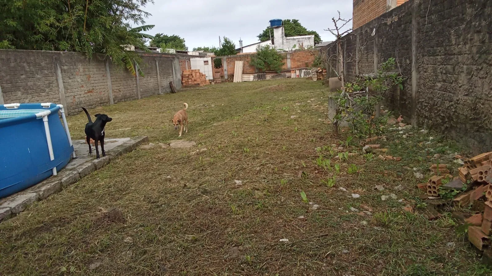Imagem Casa de 3 dormitórios a Venda no Bairro Ponta Grossa - Porto Alegre