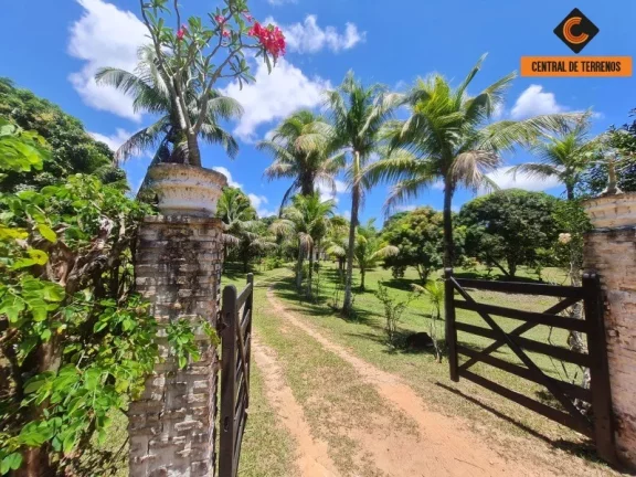 Imagem SITIO RURAL em CAMAÇARI - BA, JORRINHO