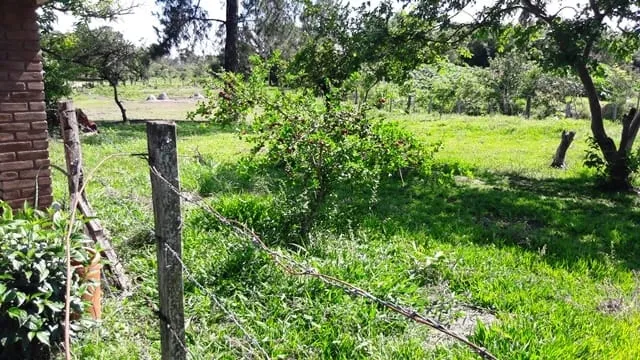 Imagem Chácara à venda 3 Quartos, 1 Suite, 4 Vagas, 8933.77M², Feital, Pindamonhangaba - SP