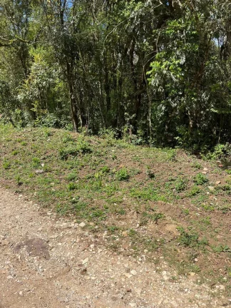 Imagem Área Rural em Colombo - 44 mil metros - R$750 mil