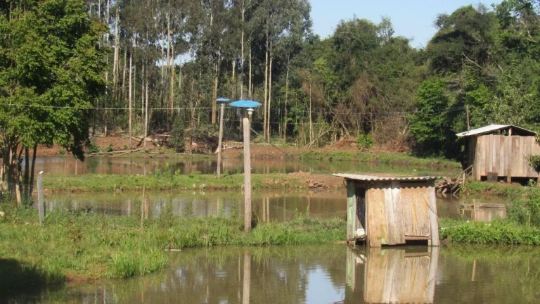Imagem Casa para Venda em Lindóia do Sul, Centro, 1 dormitório, 1 banheiro