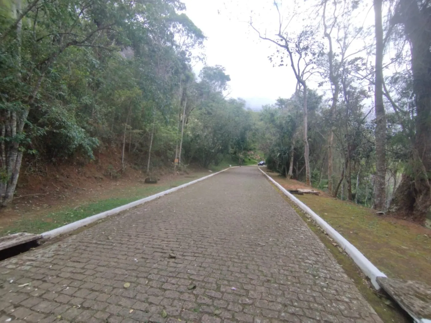 Imagem Terreno para Venda em Petrópolis / RJ no bairro Samambaia