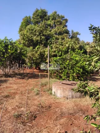 Imagem Chácara à venda próximo à Delta: seu refúgio rural na cidade